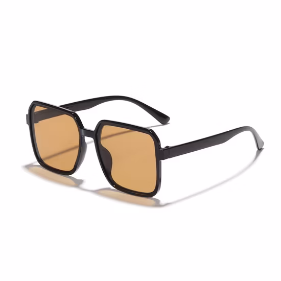 Factory Supply China Factory Price New Model Eyewear Frame Sunglasses